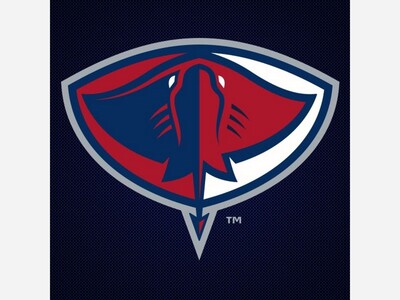The South Carolina Stingrays