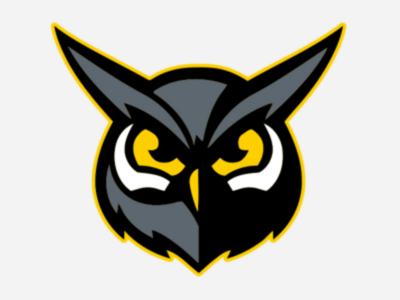 The O'Fallon Hoots in (MO)