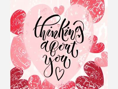 Anita Brown's Commentary