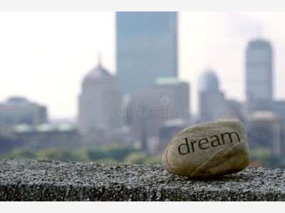 Anita Brown's Commentary