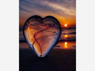 Anita Johnson Brown's Commentary