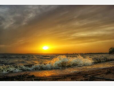 Anita Brown's Commentary