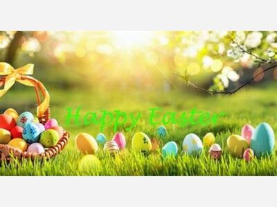 Anita Brown's Commentary