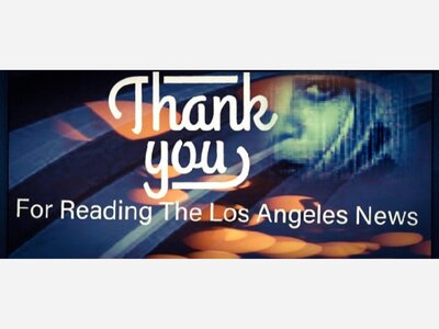 Anita Brown's Commentary