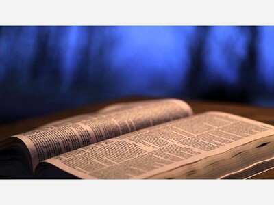 Anita Brown's Commentary