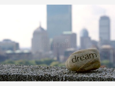 Anita Brown's Commentary