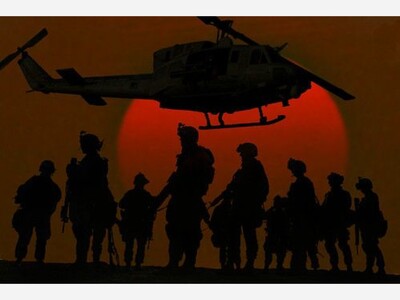 Anita Brown's Commentary