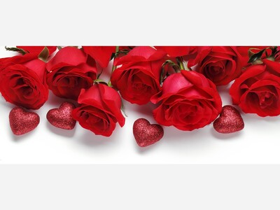 Anita Brown's Commentary