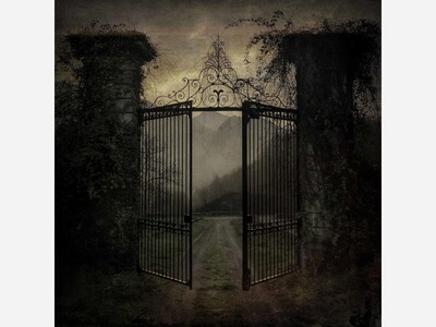 A Word from the Wise