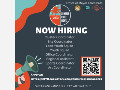 Summer Night Lights 2023