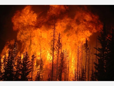 Topanga Canyon Brush Fire