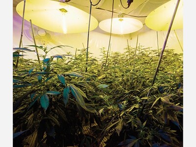 A team led by UCLA Dentistry has been awarded a $5 million federal grant