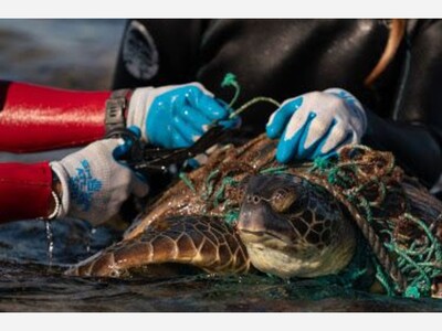 News You May Have Missed