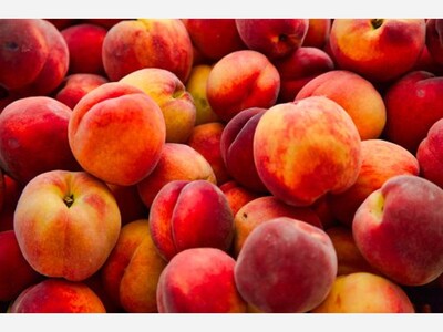 Listeria Outbreak prompts  National Fruit Recall