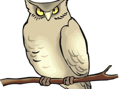 A Word from the Wise