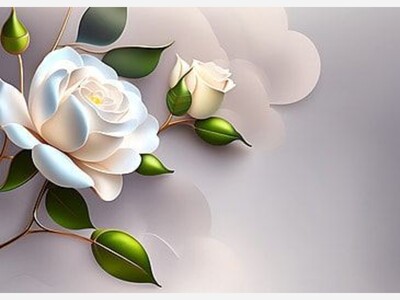 The Former President of Sony Pictures Studio Operations, Gary O. Martin Dies at age 79