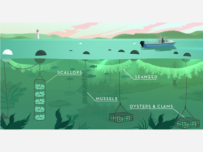 Knowledge Drop-THE FUTURE OF OCEAN FARMING