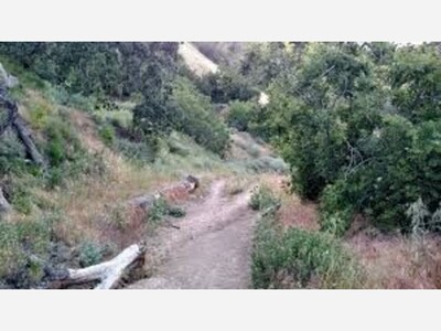Hollywood Hills Hiker Rescued
